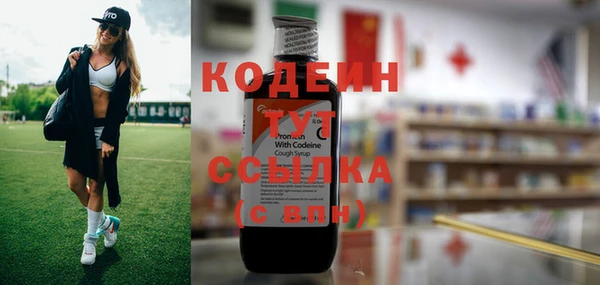 тгк Елизово