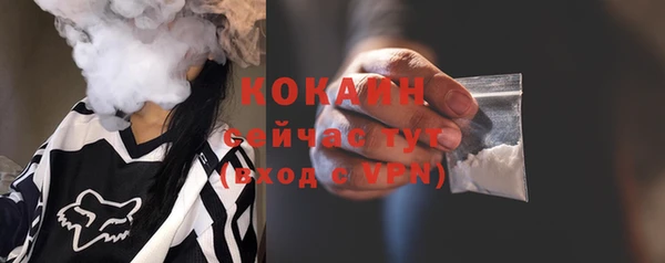 тгк Елизово