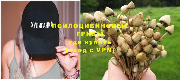 герыч Елабуга